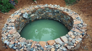 Stone-lined open water well with murky green water before chlorine dioxide treatment
