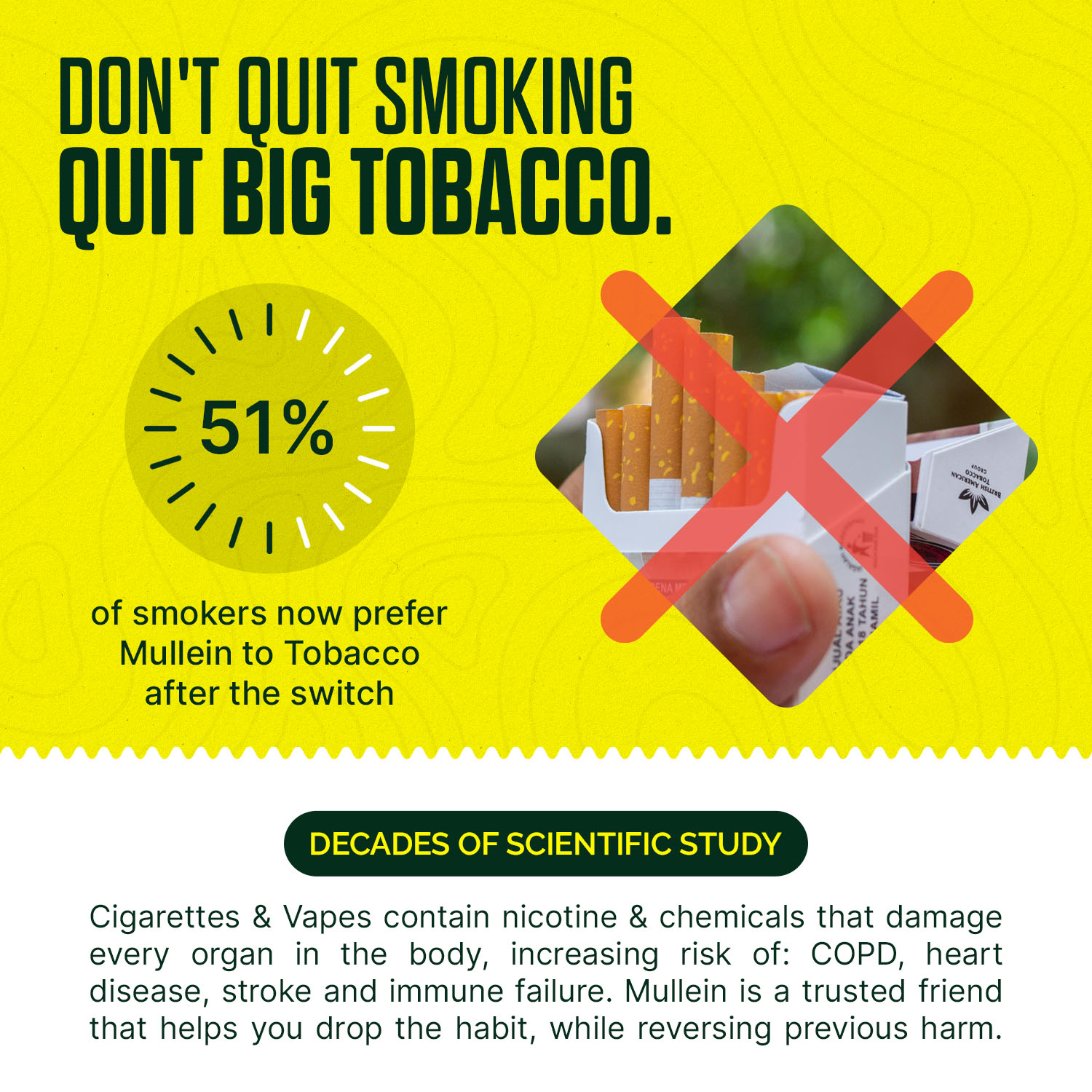 Mullein Herbal Cigarettes for Relaxation & Respiratory Relief