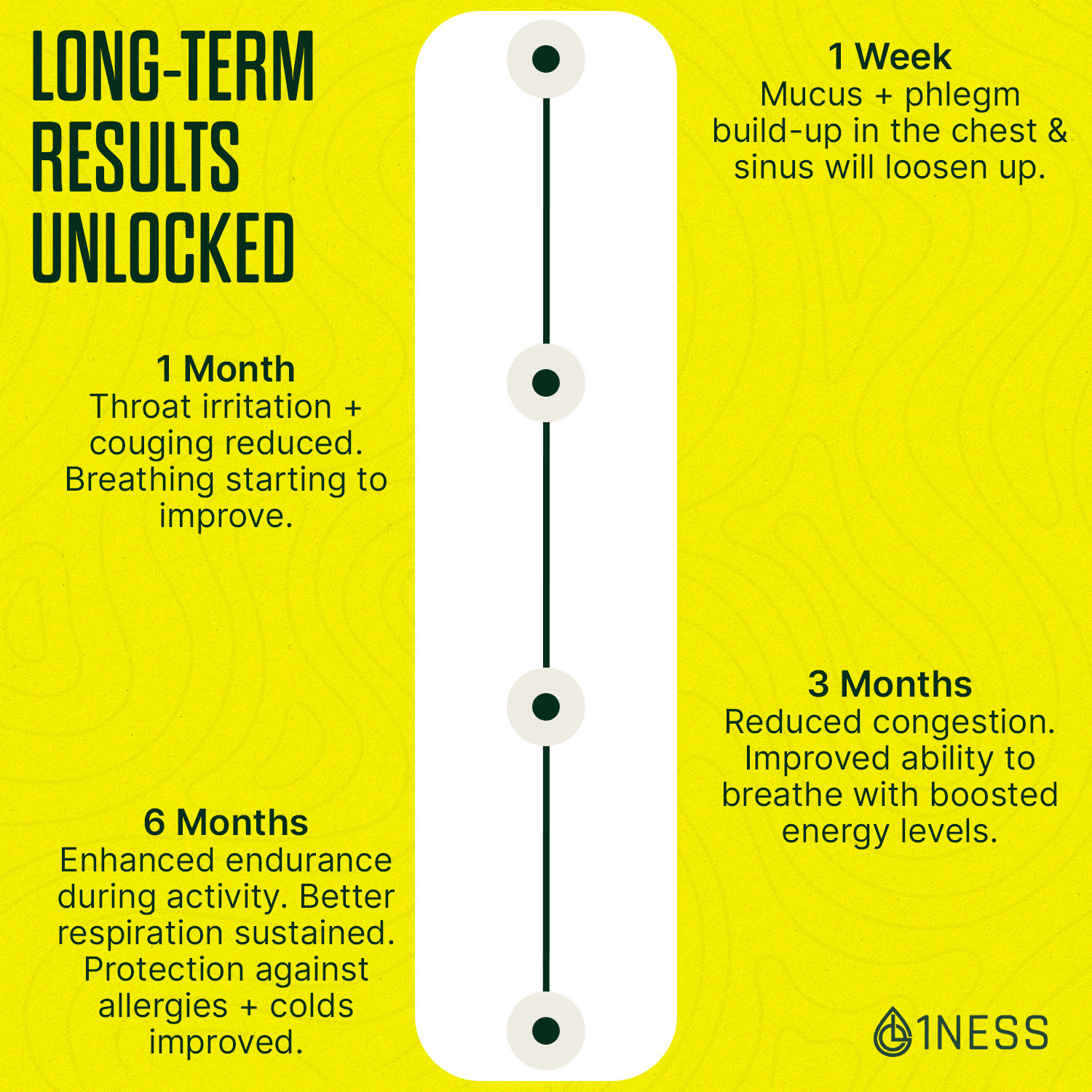 Mullein Leaf Extract for Healthy Lungs (4oz) - Image 4