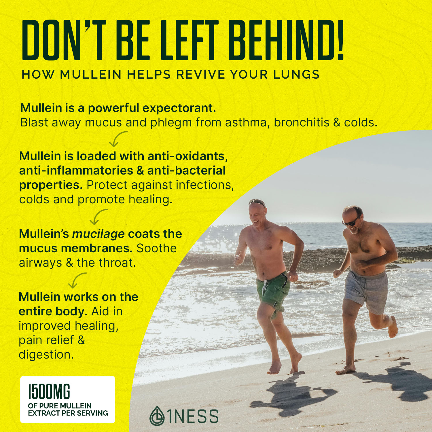 Mullein Leaf Extract for Healthy Lungs (4oz) - Image 9